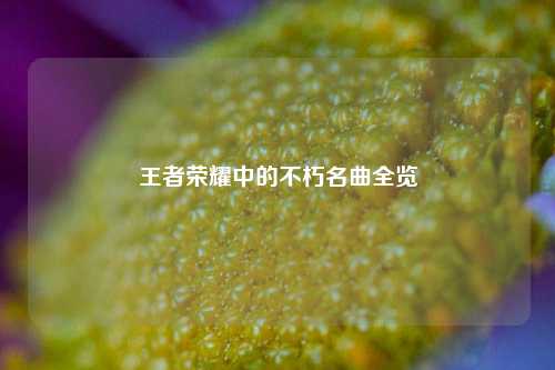 王者荣耀中的不朽名曲全览