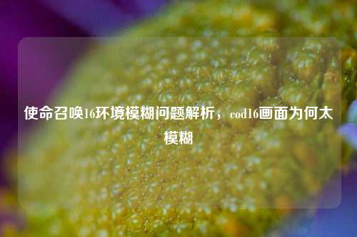 使命召唤16环境模糊问题解析,cod16画面为何太模糊