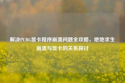 解决PUBG显卡程序崩溃问题全攻略，绝地求生崩溃与显卡的关系探讨