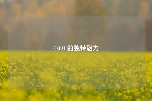 CSGO 的独特魅力