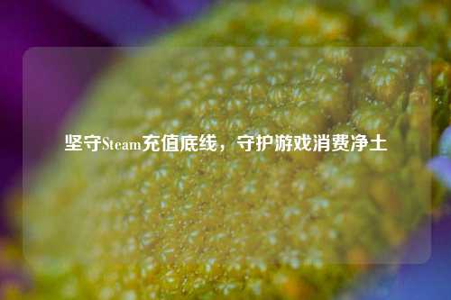 坚守Steam充值底线,守护游戏消费净土