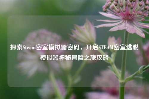 探索Steam密室模拟器密码，开启STEAM密室逃脱模拟器神秘冒险之旅攻略