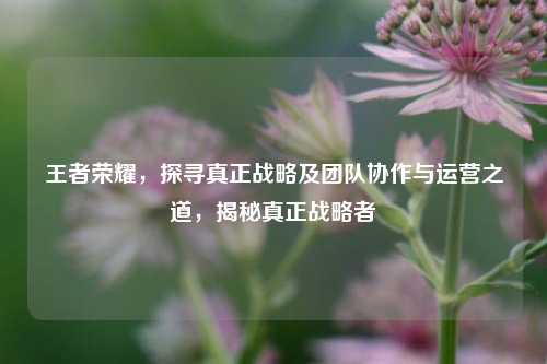 王者荣耀，探寻真正战略及团队协作与运营之道，揭秘真正战略者