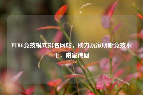 PUBG竞技模式排名网站,助力玩家明晰竞技水平,附宣传图