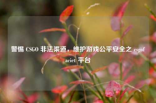 警惕 CSGO 非法渠道,维护游戏公平安全之 csgofaciet 平台