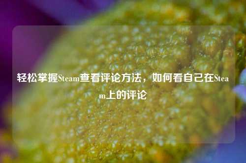 轻松掌握Steam查看评论方法，如何看自己在Steam上的评论