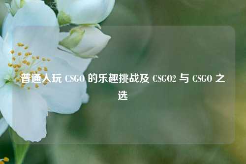 普通人玩 CSGO 的乐趣挑战及 CSGO2 与 CSGO 之选