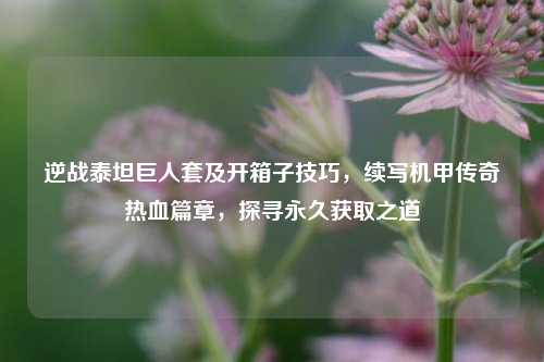 逆战泰坦巨人套及开箱子技巧,续写机甲传奇热血篇章,探寻永久获取之道