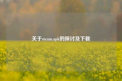 关于steam.apk的探讨及下载