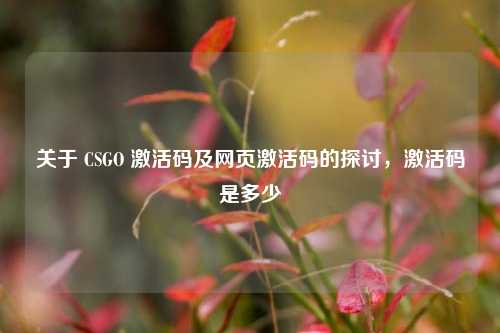关于 CSGO 激活码及网页激活码的探讨，激活码是多少