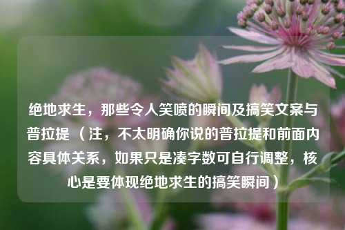绝地求生，那些令人笑喷的瞬间及搞笑文案与普拉提 （注，不太明确你说的普拉提和前面内容具体关系，如果只是凑字数可自行调整，核心是要体现绝地求生的搞笑瞬间）