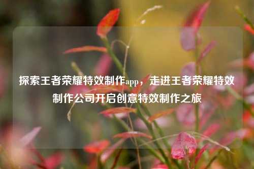 探索王者荣耀特效制作app，走进王者荣耀特效制作公司开启创意特效制作之旅