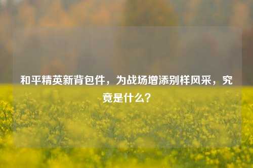 和平精英新背包件，为战场增添别样风采，究竟是什么？