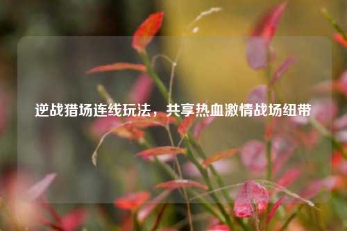 逆战猎场连线玩法，共享热血激情战场纽带