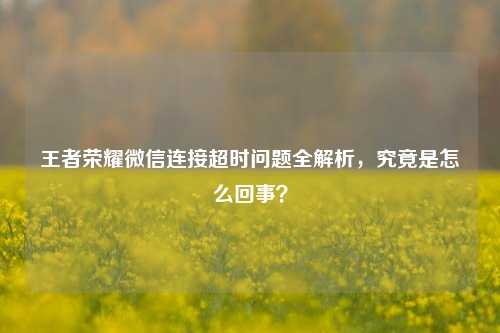 王者荣耀微信连接超时问题全解析，究竟是怎么回事？