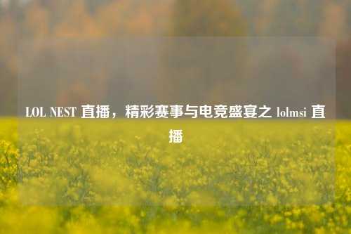 LOL NEST 直播，精彩赛事与电竞盛宴之 lolmsi 直播