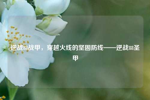 逆战88战甲，穿越火线的坚固防线——逆战88圣甲