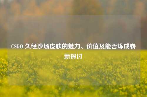 CSGO 久经沙场皮肤的魅力、价值及能否炼成崭新探讨