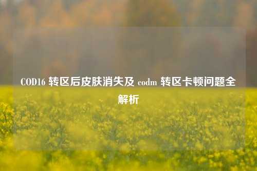 COD16 转区后皮肤消失及 codm 转区卡顿问题全解析