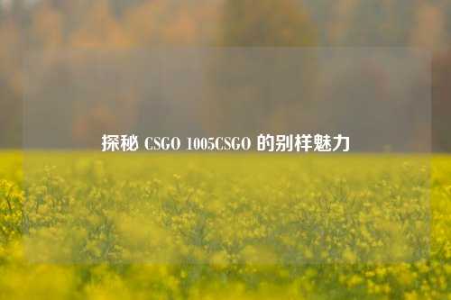 探秘 CSGO 1005CSGO 的别样魅力
