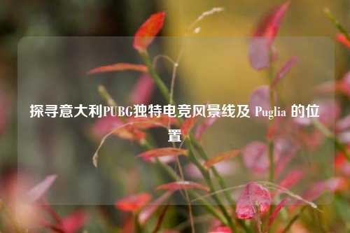 探寻意大利PUBG独特电竞风景线及 Puglia 的位置