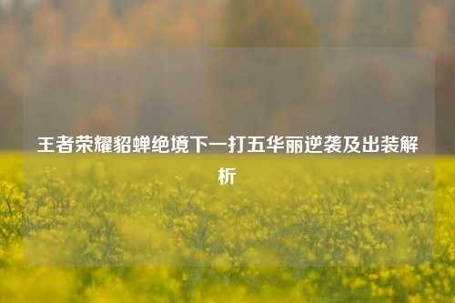 王者荣耀貂蝉绝境下一打五华丽逆袭及出装解析