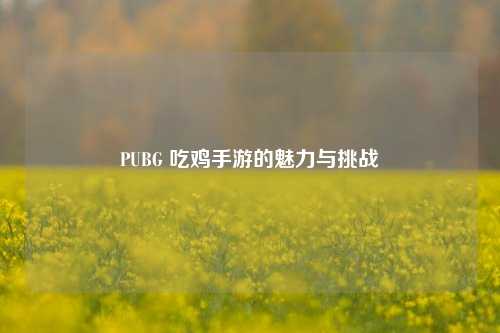 PUBG 吃鸡手游的魅力与挑战