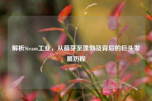 解析Steam工业，从萌芽至蓬勃及背后的巨头发展历程