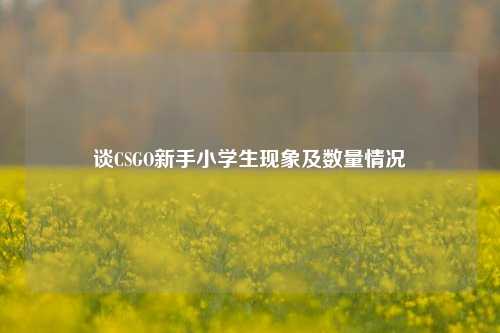 谈CSGO新手小学生现象及数量情况