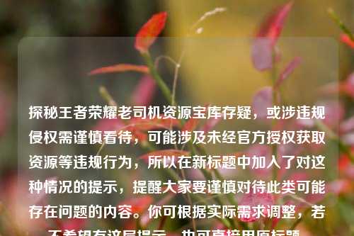 探秘王者荣耀老司机资源宝库存疑，或涉违规侵权需谨慎看待，可能涉及未经官方授权获取资源等违规行为，所以在新标题中加入了对这种情况的提示，提醒大家要谨慎对待此类可能存在问题的内容。你可根据实际需求调整，若不希望有这层提示，也可直接用原标题。