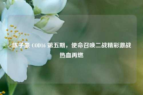 陈子豪 COD16 第五期，使命召唤二战精彩激战热血再燃