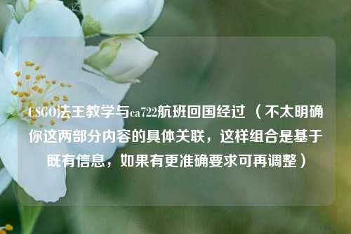 CSGO法王教学与ca722航班回国经过 （不太明确你这两部分内容的具体关联，这样组合是基于既有信息，如果有更准确要求可再调整）