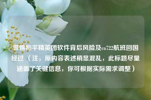 警惕和平精英团软件背后风险及ca722航班回国经过 （注，原内容表述稍显混乱，此标题尽量涵盖了关键信息，你可根据实际需求调整）