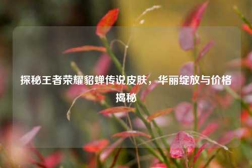 探秘王者荣耀貂蝉传说皮肤，华丽绽放与价格揭秘