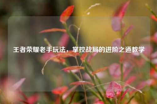 王者荣耀老手玩法，掌控战局的进阶之道教学