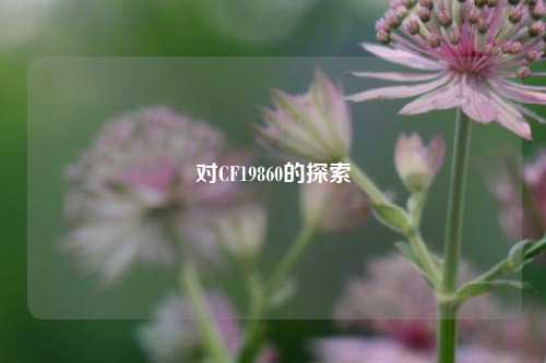 对CF19860的探索