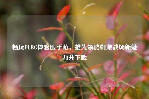 畅玩PUBG体验服手游,抢先领略刺激战场新魅力并下载