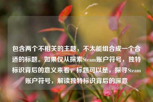 包含两个不相关的主题,不太能组合成一个合适的标题。如果仅从探索Steam账户符号,独特标识背后的意义来看,标题可以是,探寻Steam账户符号,解读独特标识背后的深意