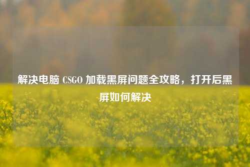 解决电脑 CSGO 加载黑屏问题全攻略，打开后黑屏如何解决