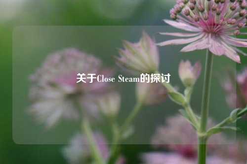 关于Close Steam的探讨