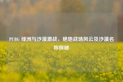 PUBG 绿洲与沙漠激战，绝地战场风云及沙漠名称探秘