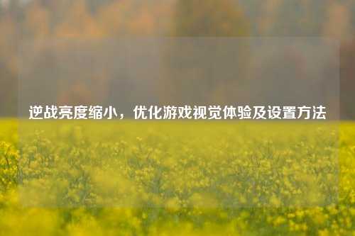 逆战亮度缩小,优化游戏视觉体验及设置方法