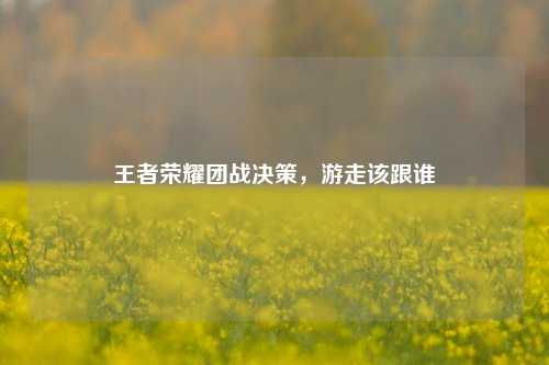 王者荣耀团战决策，游走该跟谁