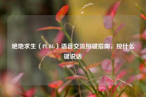 绝地求生（PUBG）语音交流按键指南，按什么键说话