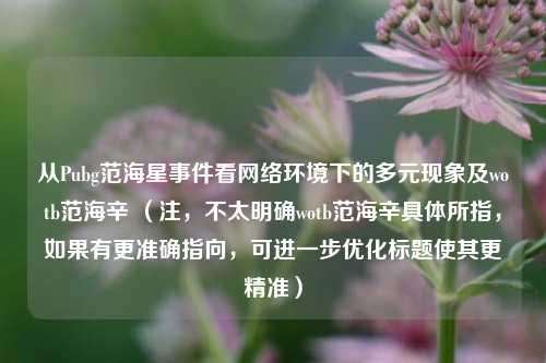 从Pubg范海星事件看网络环境下的多元现象及wotb范海辛 （注，不太明确wotb范海辛具体所指，如果有更准确指向，可进一步优化标题使其更精准）