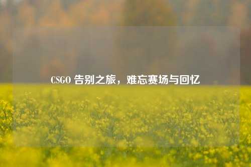 CSGO 告别之旅,难忘赛场与回忆