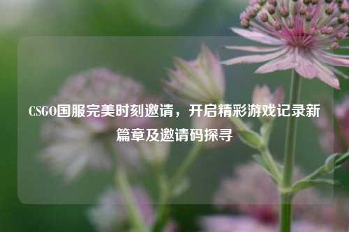 CSGO国服完美时刻邀请,开启精彩游戏记录新篇章及邀请码探寻