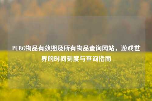 PUBG物品有效期及所有物品查询网站，游戏世界的时间刻度与查询指南