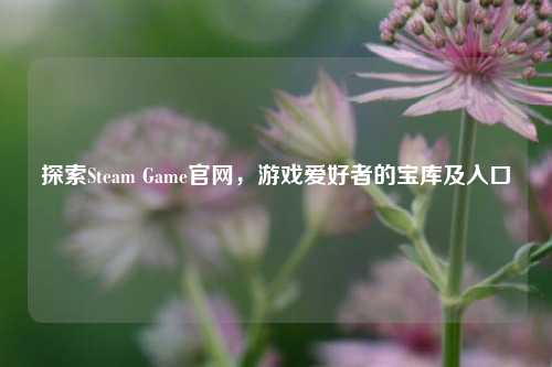 探索Steam Game官网，游戏爱好者的宝库及入口