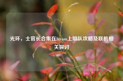 光环，士官长合集在Steam上组队攻略及联机相关探讨